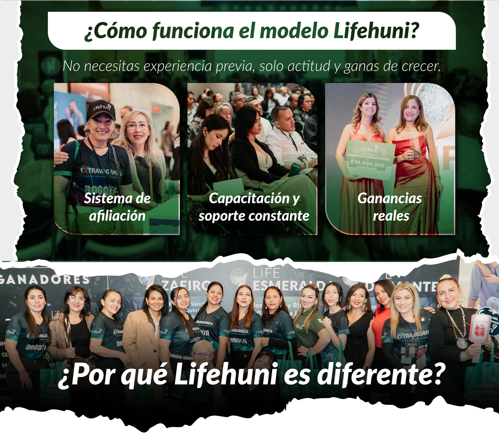 Información Lifehuni